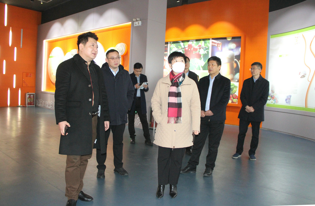 日照市副市長張金梅來潔晶集團調(diào)研