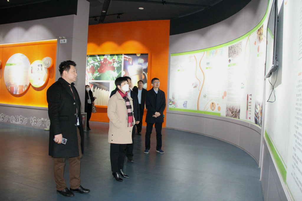 日照市副市長張金梅來潔晶集團調(diào)研 日照市副市長張金梅來潔晶集團調(diào)研