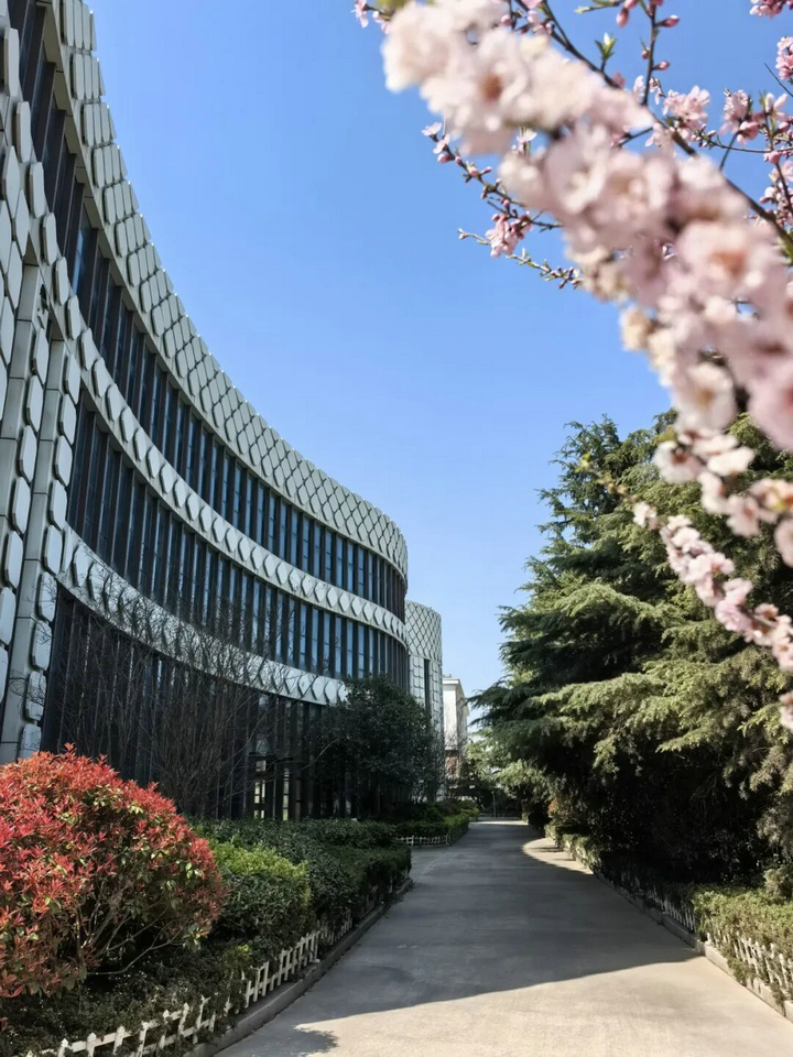 20260407春色滿廠區(qū) “7S”管理添春暉2